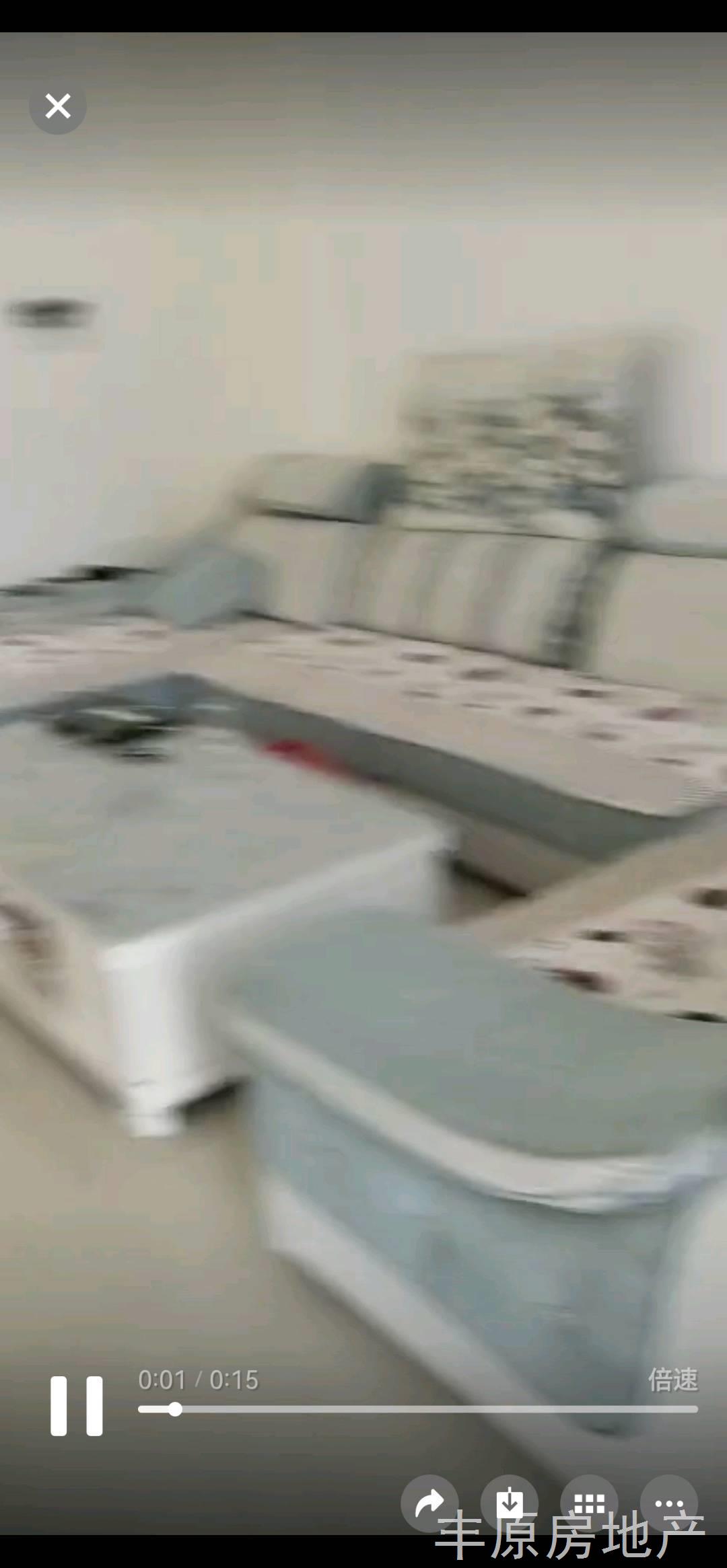 实拍图