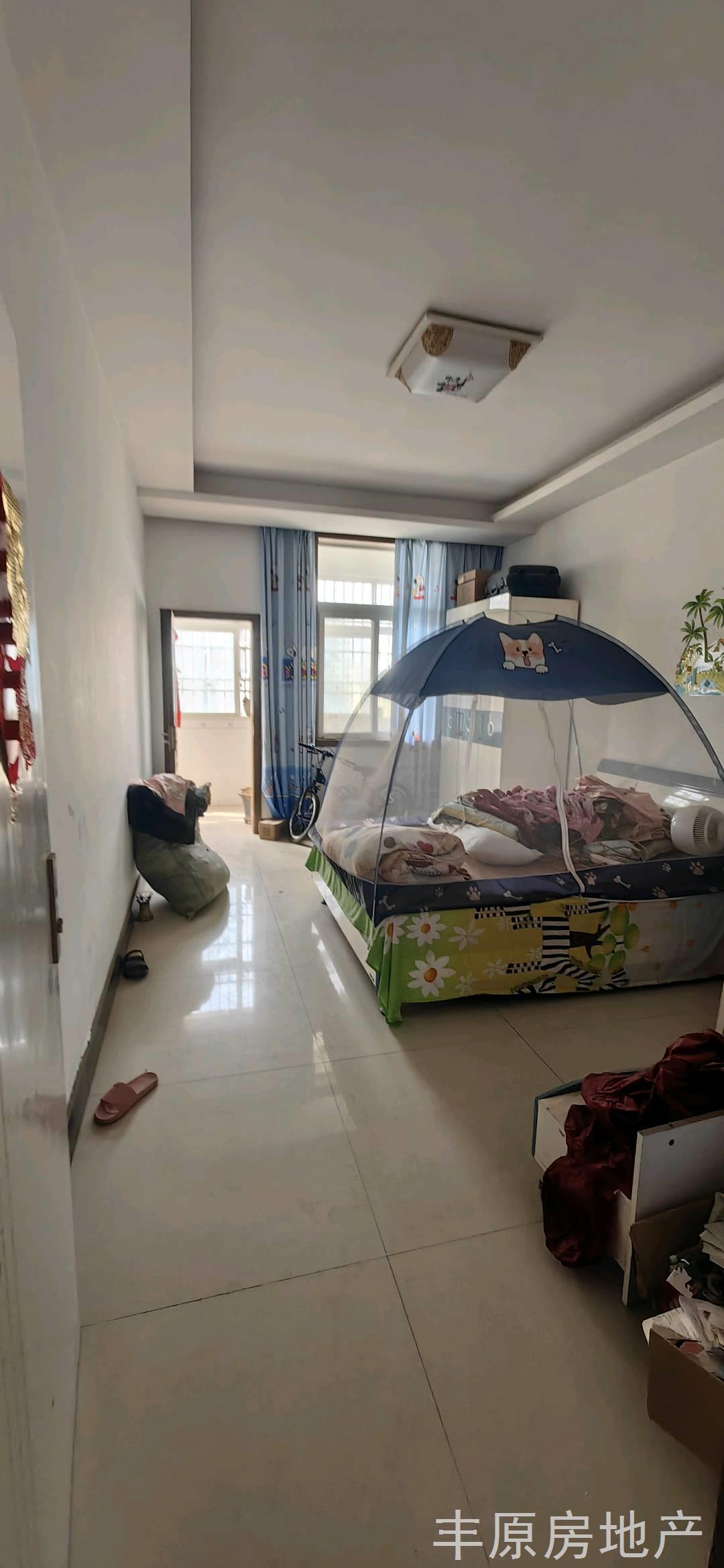 实拍图